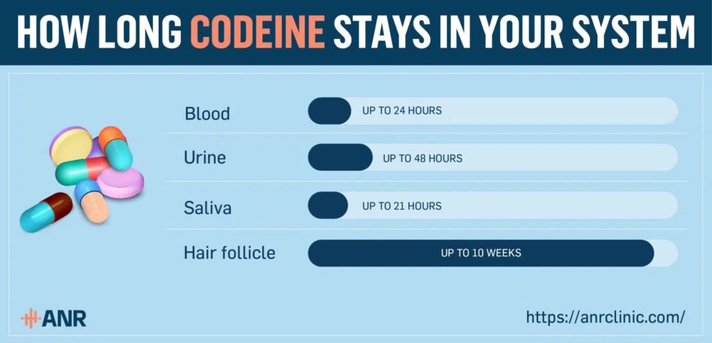 How Long Does Codeine Stay in Your System? A Comprehensive Guide 2025 2