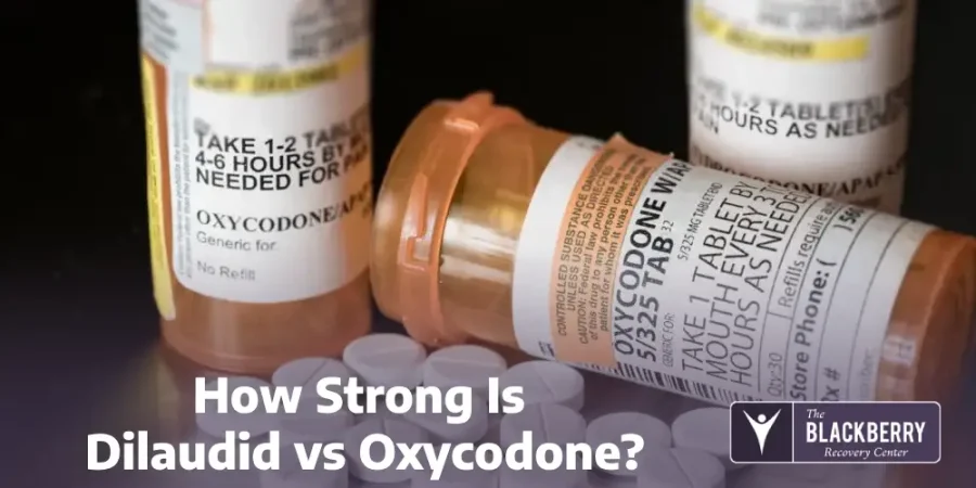 Dilaudid vs Oxycodone: Key Differences, Uses, and Risks 2025 4