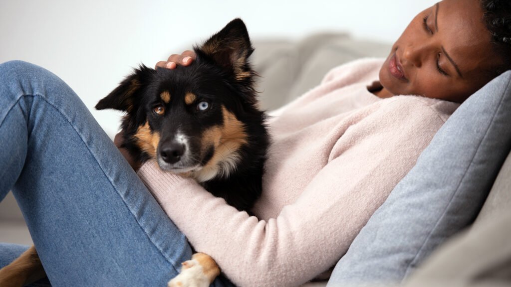 Alprazolam Dosage for Dogs: Everything You Need to Know 2025 4