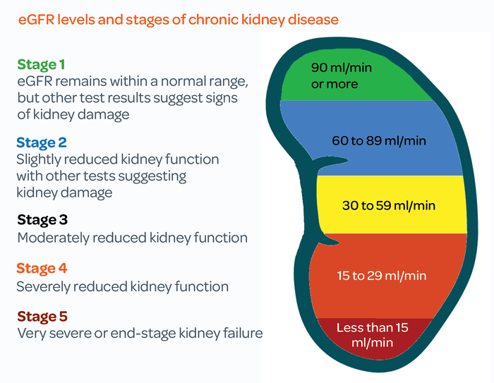 Is Klonopin Safe with Stage 3A Kidney Disease? Best Analysis 2025 1
